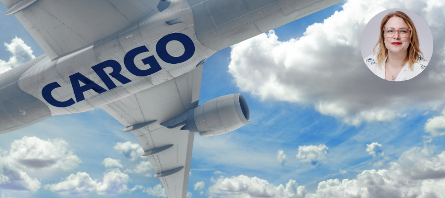 Air freight can take off with expansion, says Logistics UK
