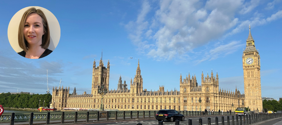Working for our members – by Natalie Chapman, Head of Public Affairs