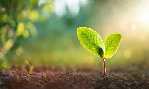Logistics sector showing “green shoots of recovery”, says Logistics UK